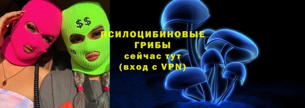 гашик Нефтекумск