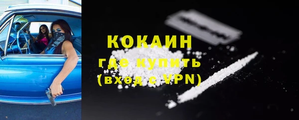 гашик Нефтекумск