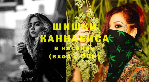 гашик Нефтекумск