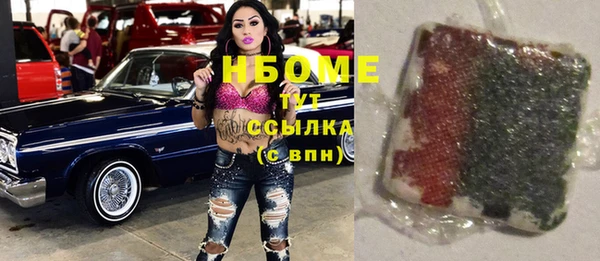 гашик Нефтекумск