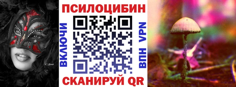 купить   Стрежевой  blacksprut tor  Псилоцибиновые грибы Psilocybe 
