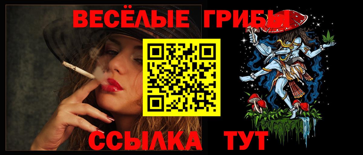 Галлюциногенные грибы Psilocybine cubensis  Вход с VPN  Стрежевой 
